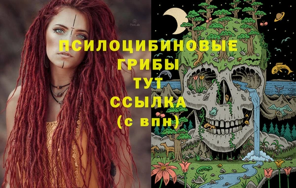 гашиш Белокуриха