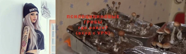 дживик Беломорск